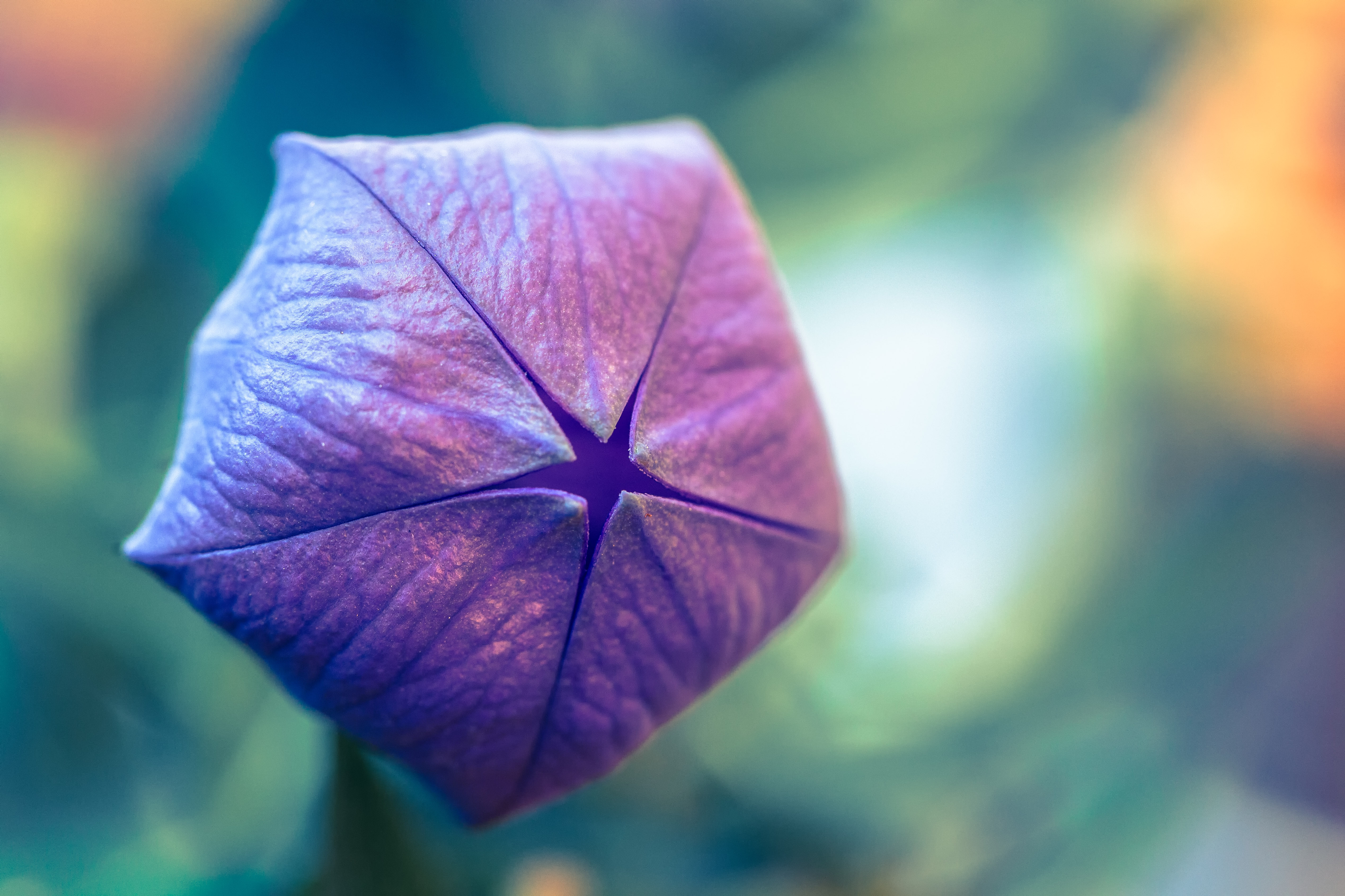 20140719 Makro Tests 023 Bearbeitet